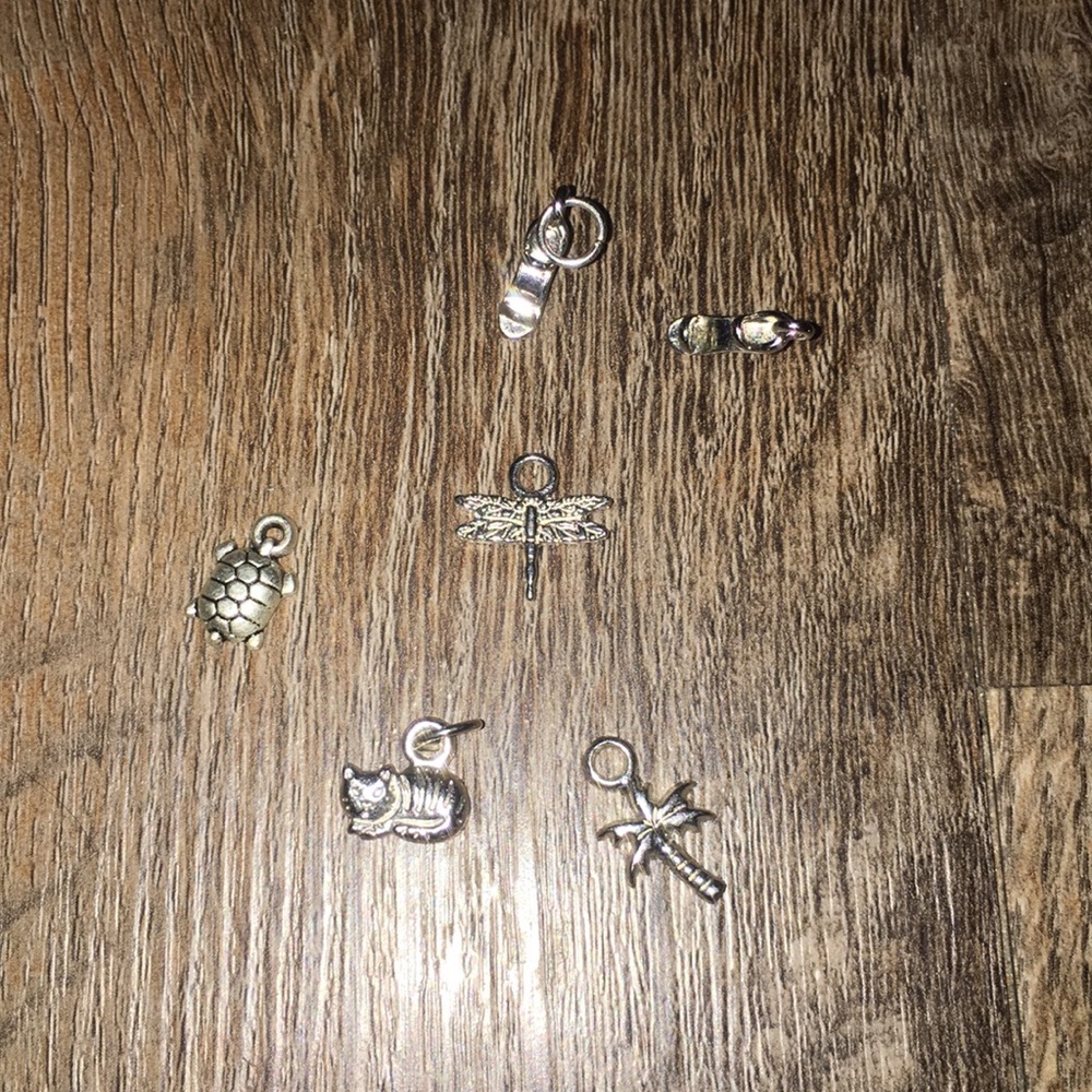Bracelet charms